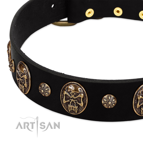 Corrosion resistant decorations on leather dog collar for your four-legged friend