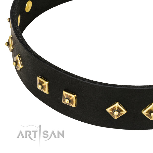Top notch leather collar for your lovely pet