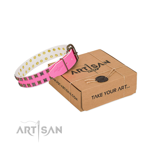 Natural leather collar with extraordinary decorations for your canine