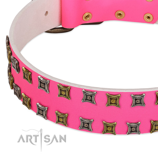 Genuine leather dog collar with unique adornments