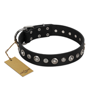 "Genteel Charm" FDT Artisan Black Leather dog Collar with Silver-like Round Conchos